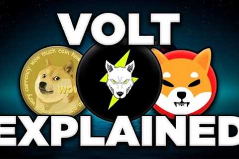 Is This Meme Crypto The Next SHIB? | Volt Inu Explained