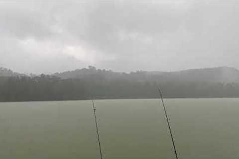 Fishing Ambience | By the lake | Meditation music | Hidden forest Ambience | Rainy day Ambience 4K