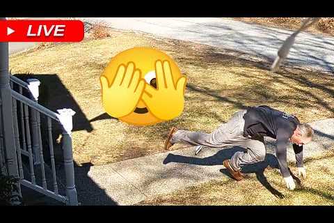 🔴  The AFV 24-Hour MARATHON of Funny Videos 😂🎉 Laugh Your Way Through the Night!! 😂😂