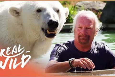 The Polar Bear And Man Who Are Best Friends | Animal Odd Couples | Real Wild