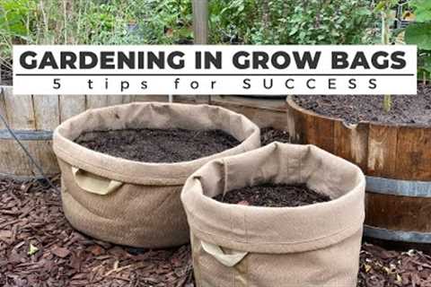 Gardening in GROW BAGS: 5 Tips for SUCCESS