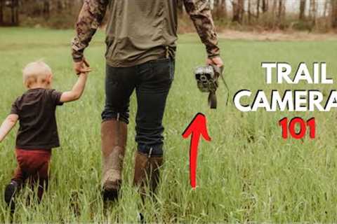 5 Trail Camera Tips For Beginners