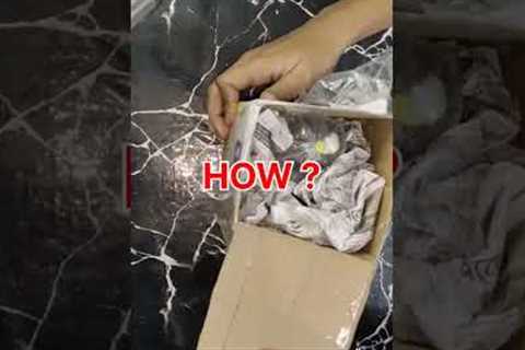 How my Fish Survived 3 days of Shipping?📦 #shorts