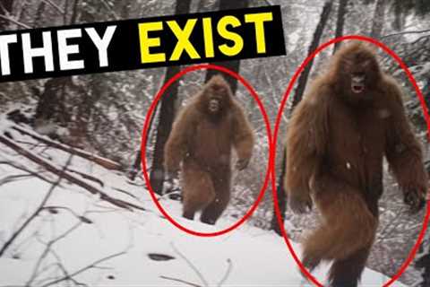 BIGFOOT Finally Spotted On Trail Cam