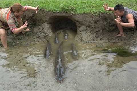 Dig hole catch a lot of carp - Skill Survival from catch fish