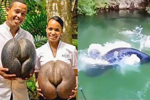 MOST STRANGEST THINGS CAUGHT ON CAMERA | DO NOT MISS THIS VIDEO