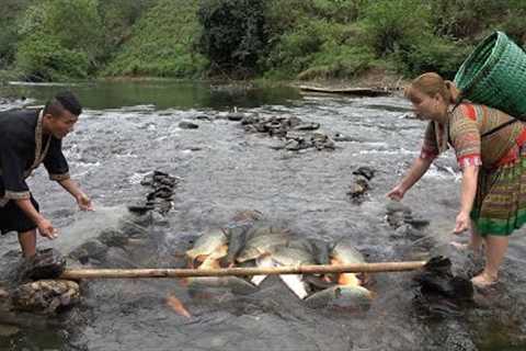 Survival skills, Techniques for making fish traps, Trap a lot of fish in the river