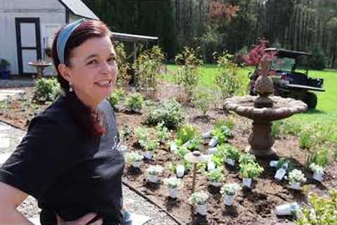 Planting First Summer Annuals in the Landscape | Gardening with Creekside