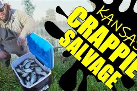 Cooler Cramming Crappies At The Kingman State Fishing Lake Salvage In Kingman Kansas.