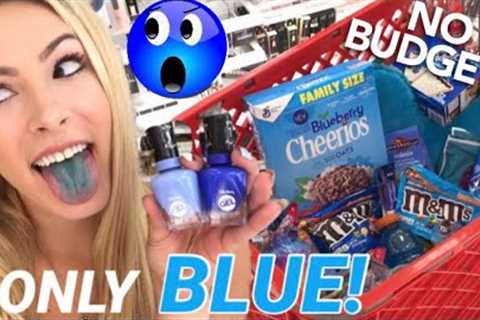NO BUDGET (BLUE ONLY) SHOPPING SPREE! 💙😱