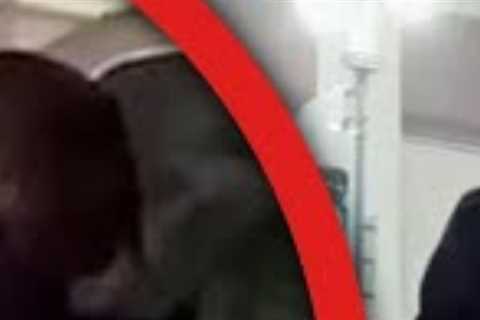 The Top 10 Harry Styles Hookups Captured On Camera