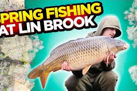 Carp Fishing Vlog At Lin Brook Fishery!