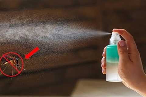 How to Make a Natural Insect Repellent to Protect Your Home