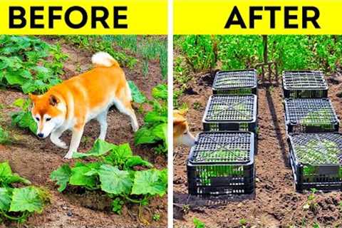 Gardening Hacks For Beginners And Experts