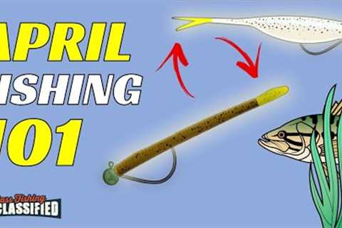 DON’T Go To The Lake Without These Baits In April!