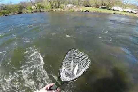 Live Action Tight Line Fly Fishing