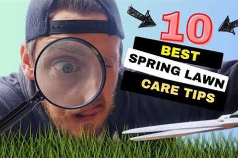 TOP 10 DIY Spring Lawn Care Tips! | DON'T Make THESE Mistakes