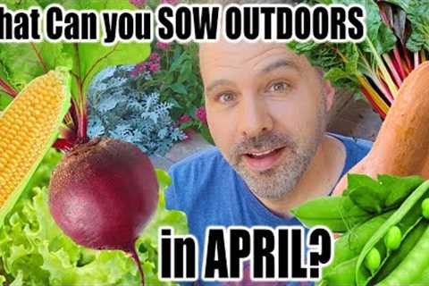 What seeds Can You Direct Sow in April?