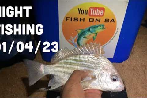 Grunter Galore Night Fishing at Umdloti Beach Durban South Africa  01 Apr 2023