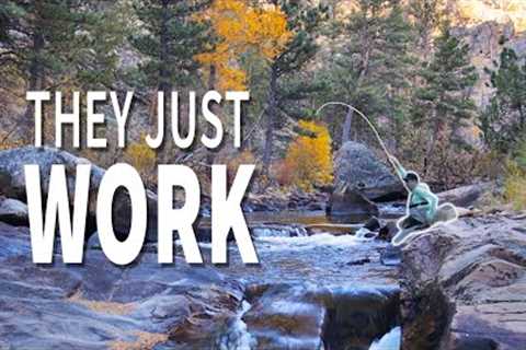 These 3 Rules Will Help You FIND + FISH the BEST Water on Earth