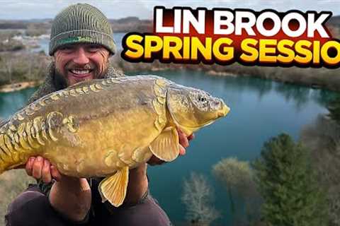 Searching For A Lin Brook Banger In The Spring! Carp Fishing Vlog