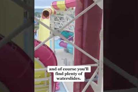 The ULTIMATE Adrenaline Rush, North America's Tallest Water Slide #shorts