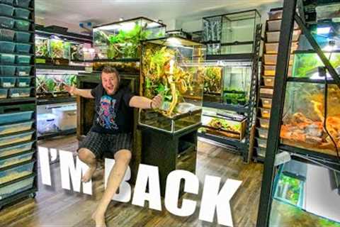 REPTILE ROOM TOUR APRIL 2023!! BIG NEWS!!