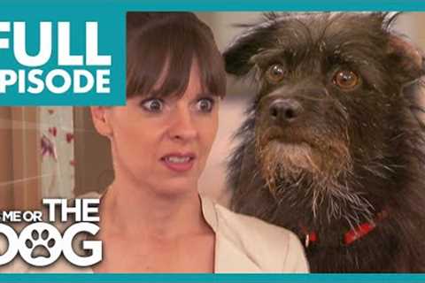 Dog Turns Owner's Bedroom into his Bathroom | Full Episode USA