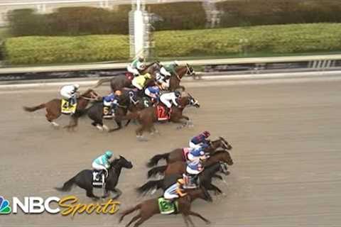 2023 Florida Derby (FULL RACE) | NBC Sports