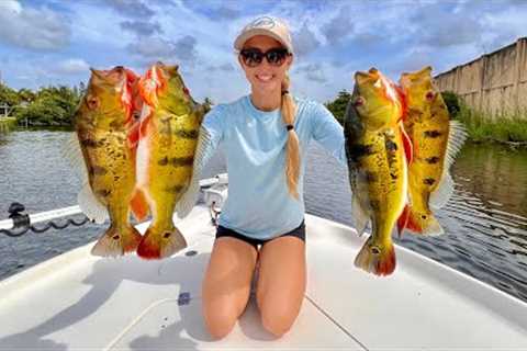 Catching a Handful of Aggressive Fish &amp; RARE Fish in a Lake!
