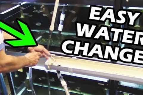 How To Do Water Changes in your Aquarium Fish Room. Gary Don't Carry