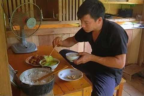 Cook a nutritious meal with Chicken and Gourd - Clean up the pig farm