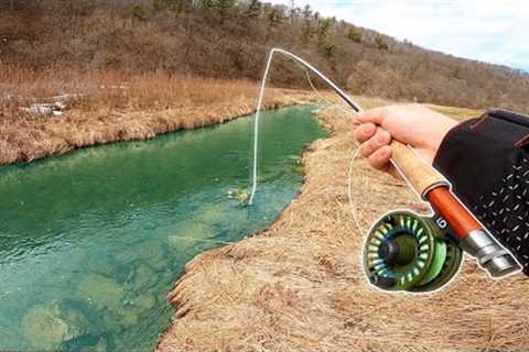 Fly Fishing a TINY Clear Water Creek!