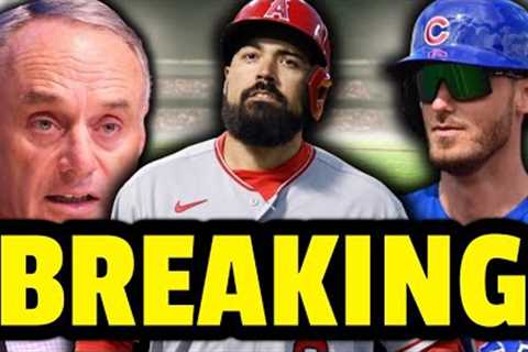 BREAKING: Anthony Rendon SUSPENDED BY MLB! Cody Bellinger's First Cubs Home Run (MLB Recap)