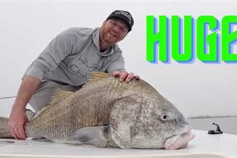 MONSTER Black Drum - fly fishing