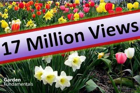 17 Million Views - 10 top Garden Myth Questions