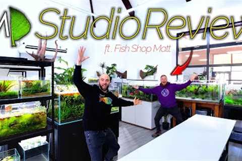 MD Studio After 2 Months: with Fish Expert Review (ft. Fish Shop Matt)