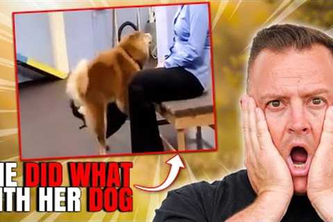 Expert Dog Trainer Breaks Down the Most INSANE Dog Videos on the Internet