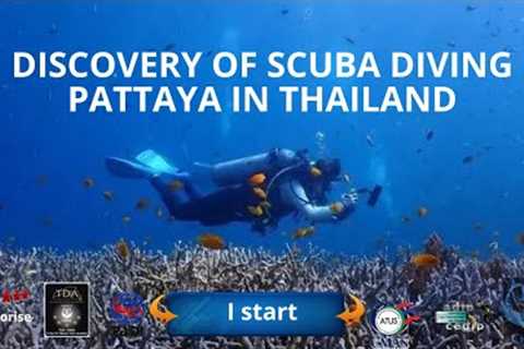 🤿 First discover scuba diving in Pattaya with the 5* diving center IDC Dive academy Thailand Diving