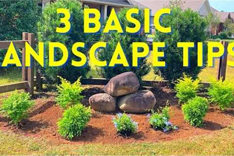 (Beginner) Landscaping Tips