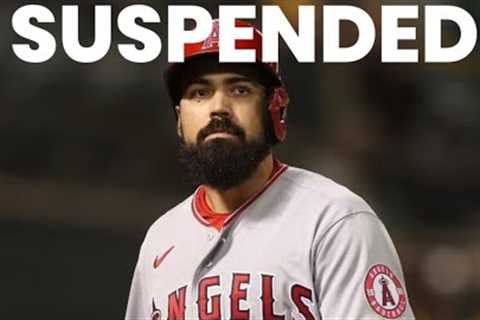 Anthony Rendon SUSPENDED For Attempted ASSAULT On Fan