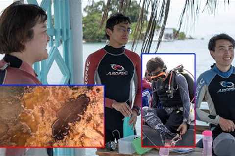 Dive Course Batam | Scuba Diving Certification and Fun Dive Adventure Trip