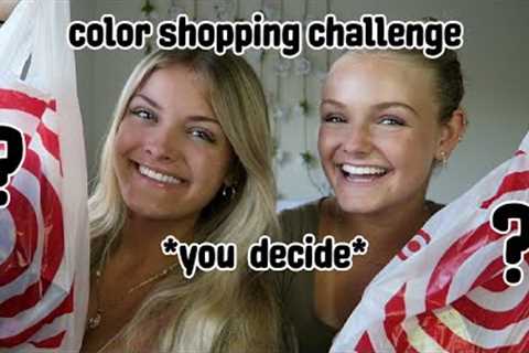 Color Shopping Challenge - You Decide