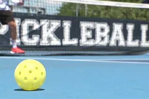 Pinellas pickleball pair pursues professional career in RV