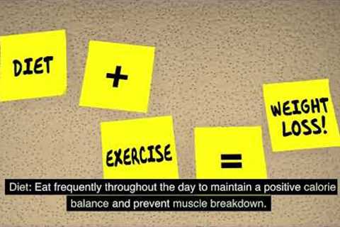 Exercise and Diet Plan - Physical Healthcare Support