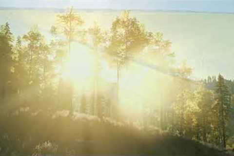 Mindful Meditation: 5-Minute Deep Breathing Mindful Relaxation