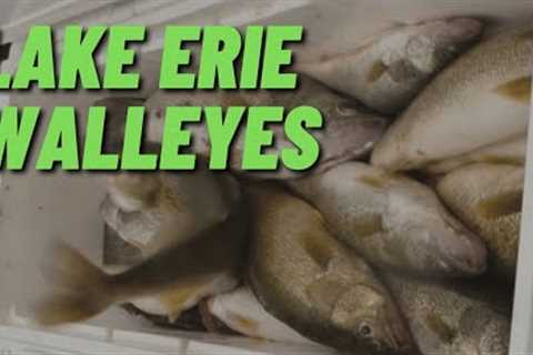 Lake Erie Walleye Fishing with Offshore Tackle