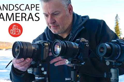 Best Camera for Landscape Photography at 3 Budget Levels