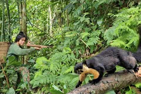 FULL VIDEO: skills to catch forest squirrels with a crossbow, survival alone, survival skills