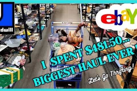 My BIGGEST GOODWILL HAUL EVER! The CART OVERFLOWED!  / Thrift With Me / Buy My HAUL / PUPS GO HIKING